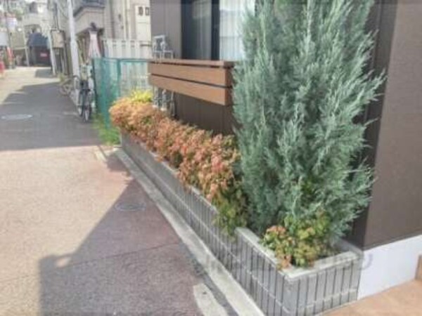 植栽