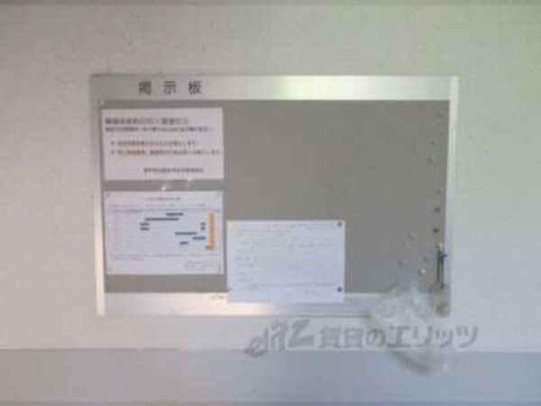掲示板