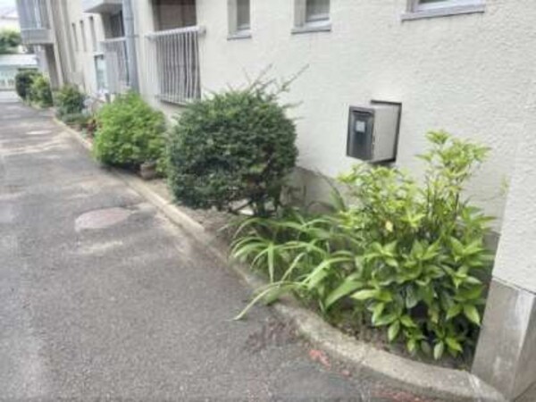 植栽