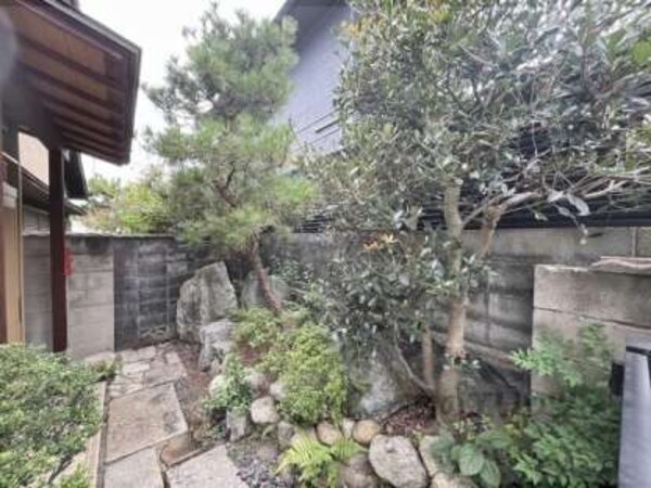 植栽