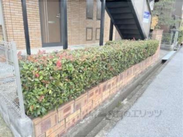 植栽