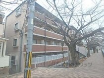 メゾン・チェリーの外観写真