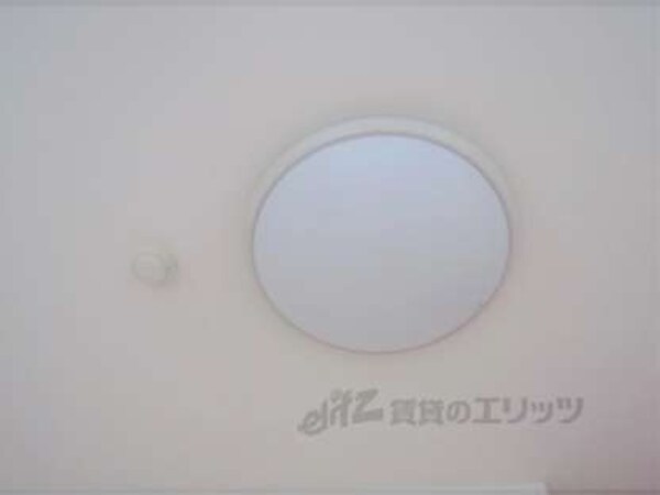 照明