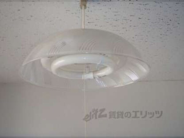 照明