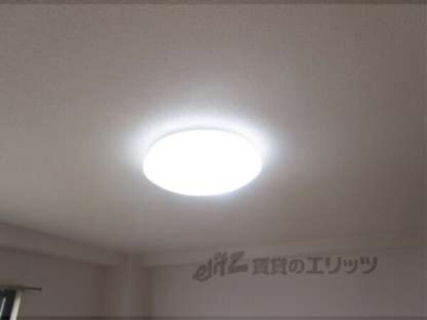 照明