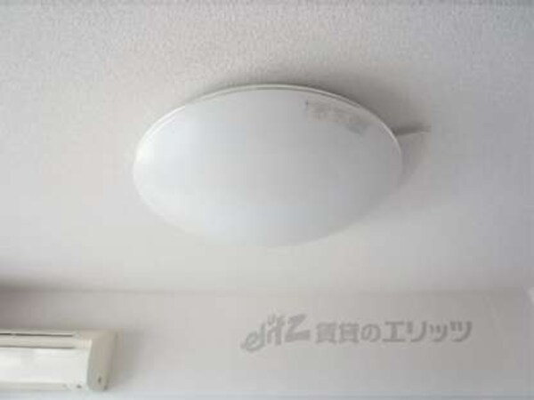 照明