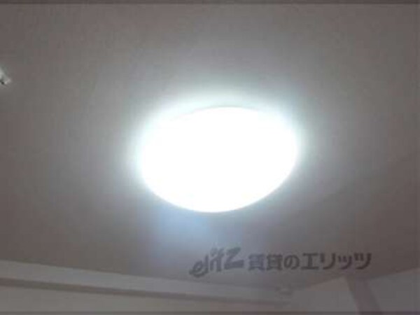 照明