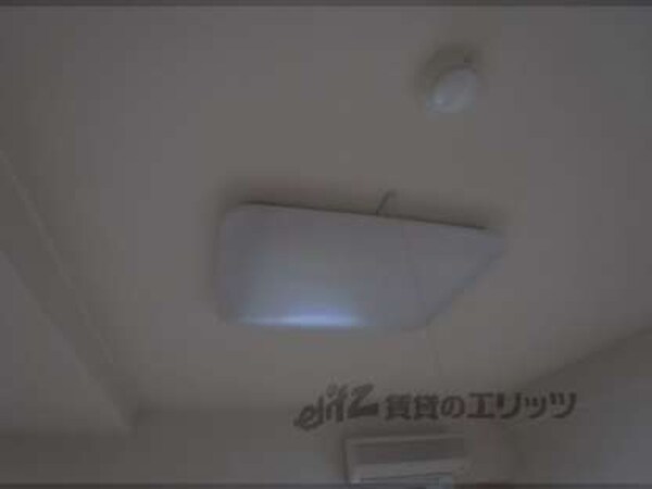 照明