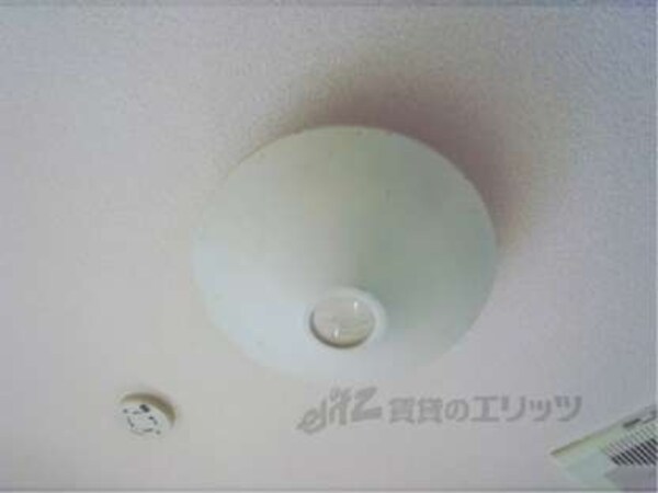 照明