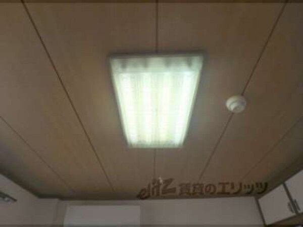 電灯