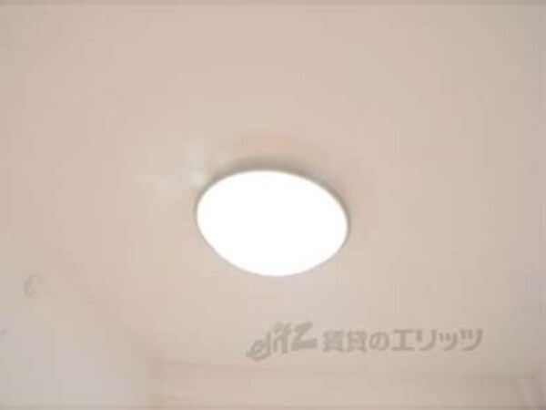 照明