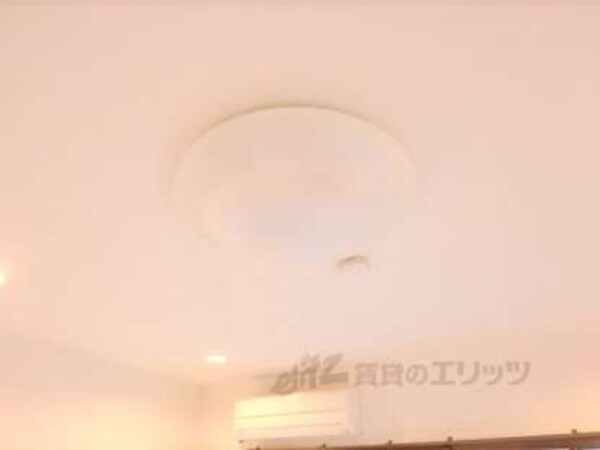 照明