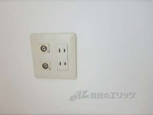 ｺﾝｾﾝﾄ