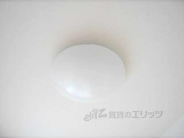 照明