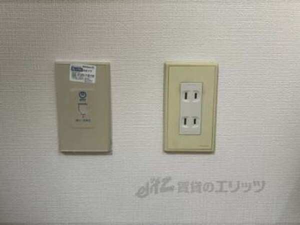 ネット線