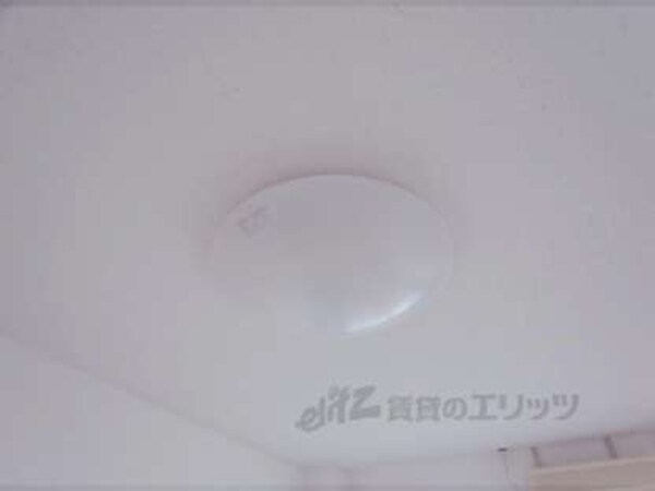 照明