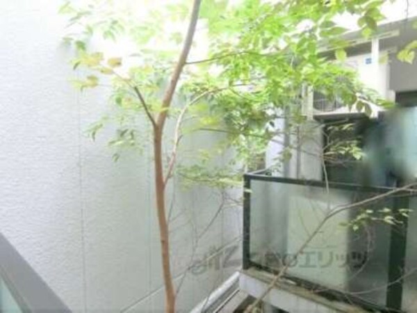 眺望(緑があり落ち着いた印象です)