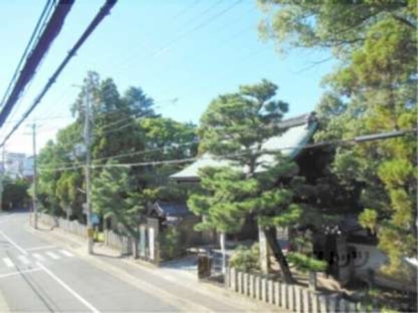 眺望(緑の多い眺望です)
