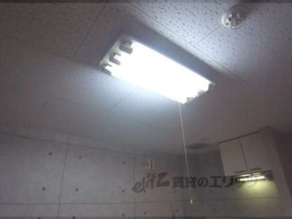 電灯