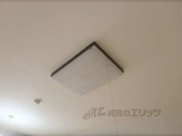 照明