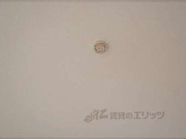 照明