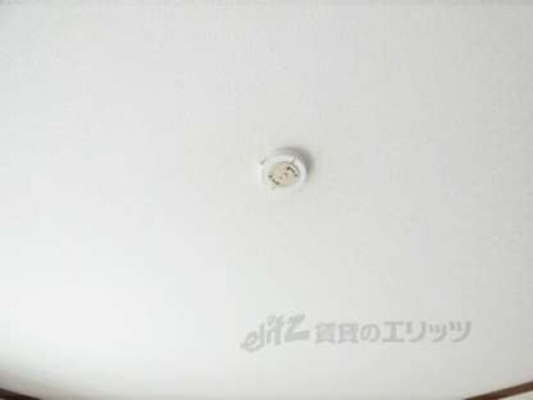 照明コンセント