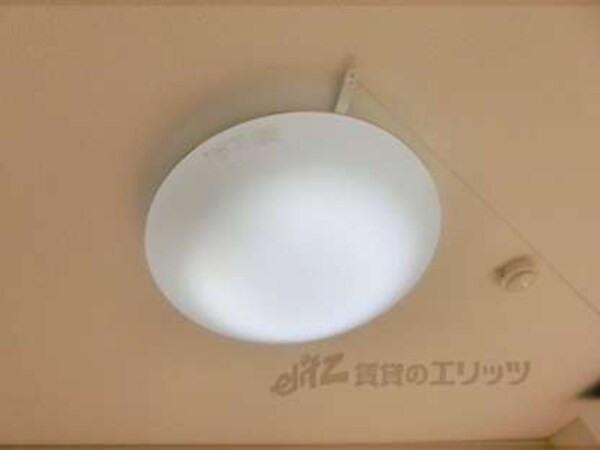照明