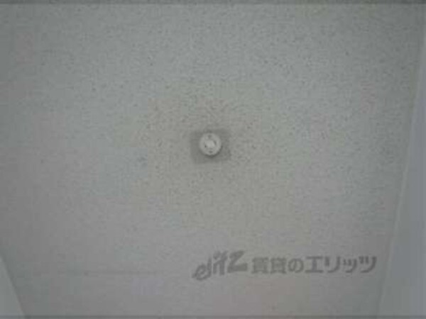 照明プラグ