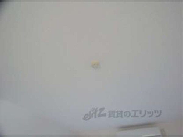ソケット