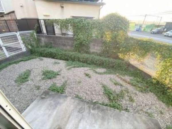 庭