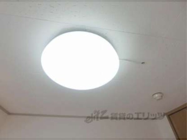 照明