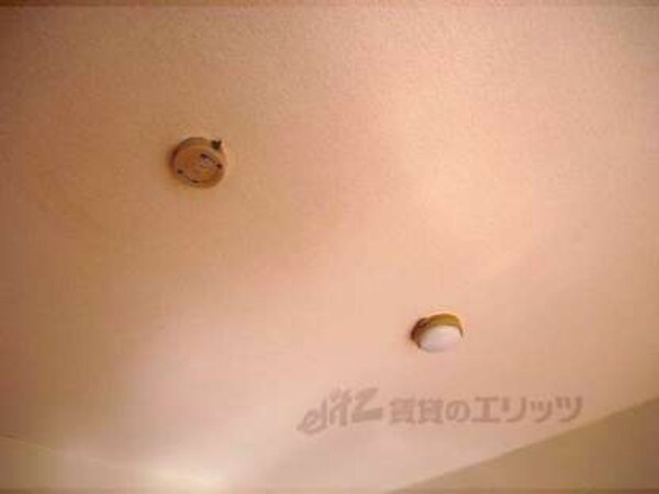 照明コンセント