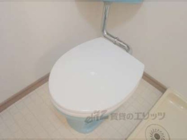 トイレ(トイレは脱衣所にあります)