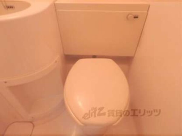 トイレ(緑豊かです♪)