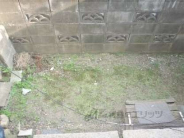 庭