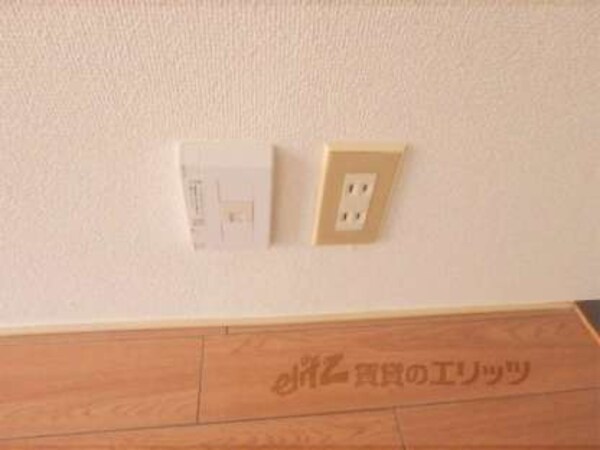 ネット線