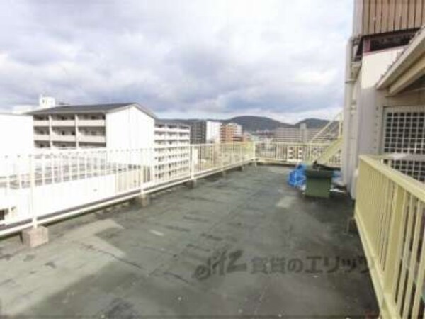 屋上