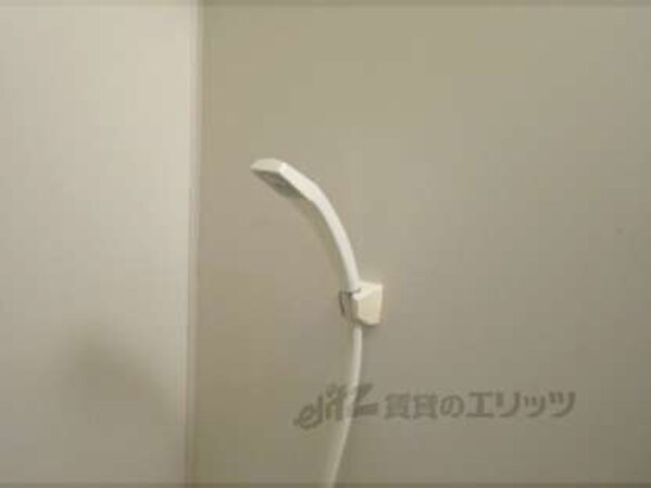 シャワーヘッド