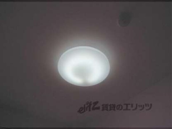 照明
