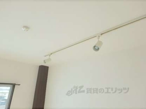 照明