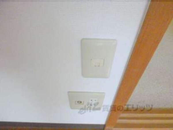 ネット線