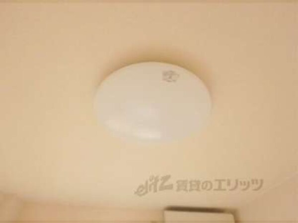 照明