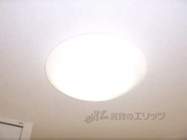 照明