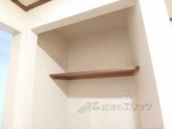 棚