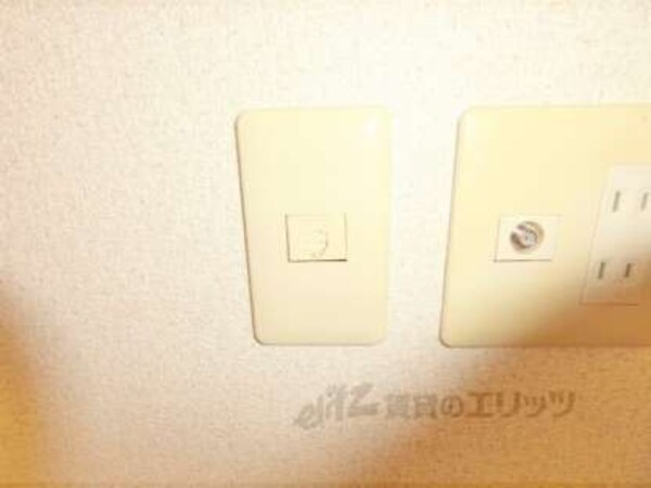 電話線