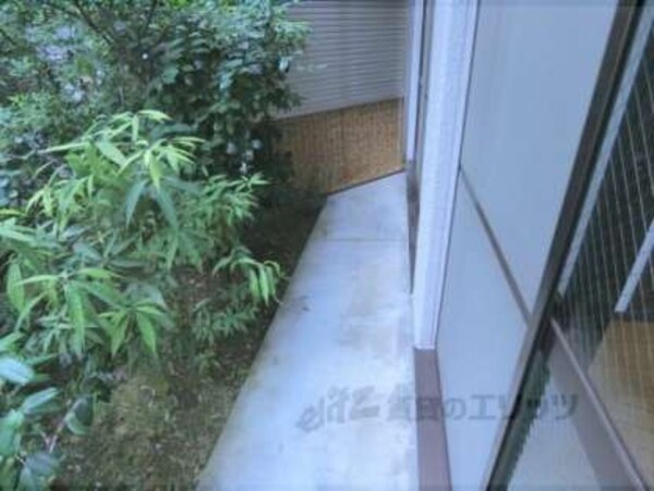 庭