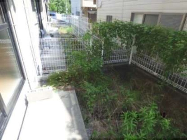 庭