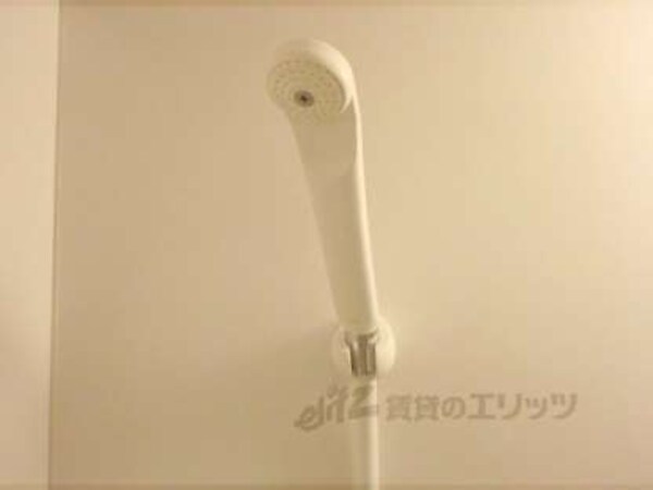 シャワーノズル