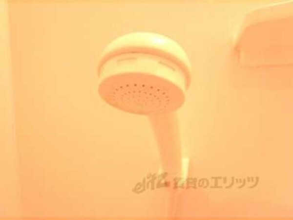 シャワーヘッド