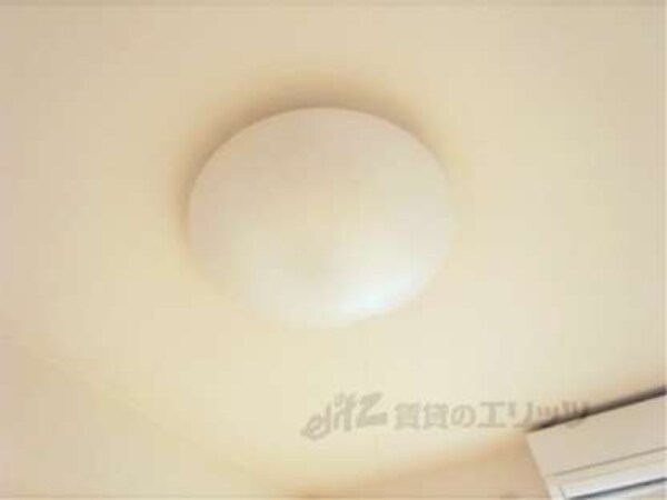 照明